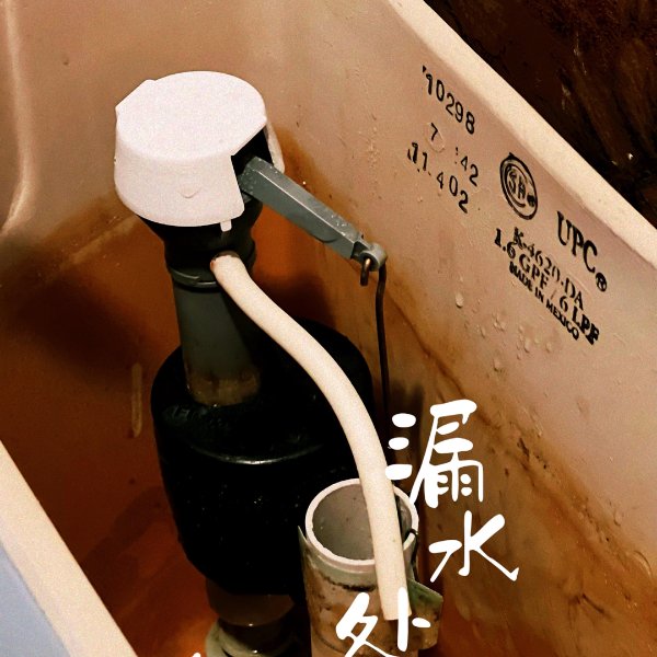 晒货图片