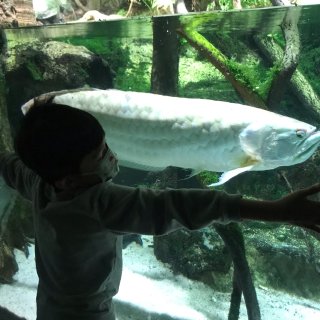 马里兰国家自然水族馆...