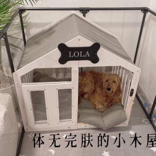 【Hi 👋🏻from Lola 】 带小...