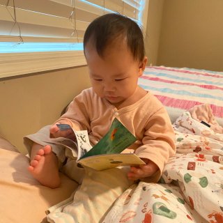十个月的宝宝早起自己看书...