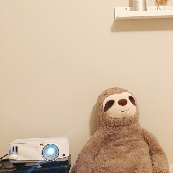 晒货图片
