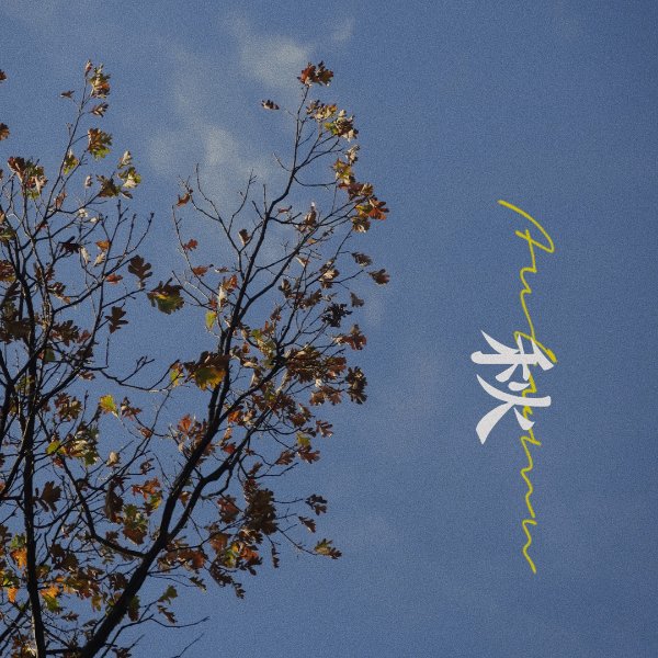 晒货图片