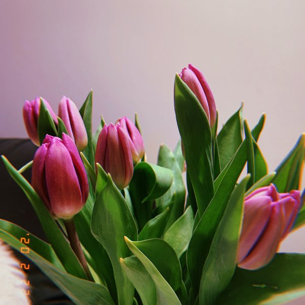 晒货图片
