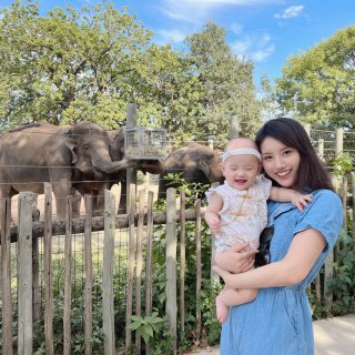 第一次带宝宝去动物园...