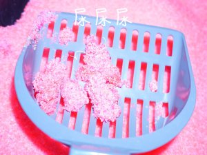 ❥微众测· Neon Litter霓虹五彩水晶猫砂