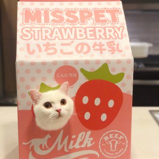 【猫咪玩具推荐】廿廿牌牛奶🥛可以喝一口吗...