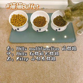 【猫猫Buffet】我家的新猫粮...