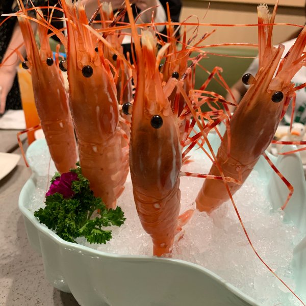 笔记图片