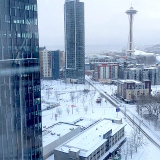 西雅图的雪 ❄️...