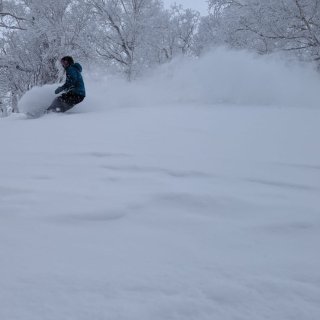 日本滑雪粉雪天堂🏂北海道+妙高攻略...