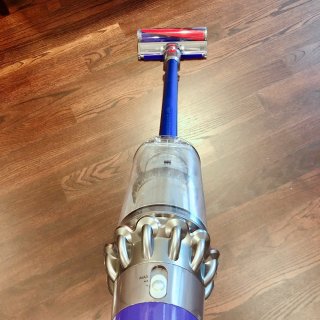 Dyson V10 Absolute 真...