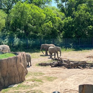 达拉斯动物园 | Dallas Zoo