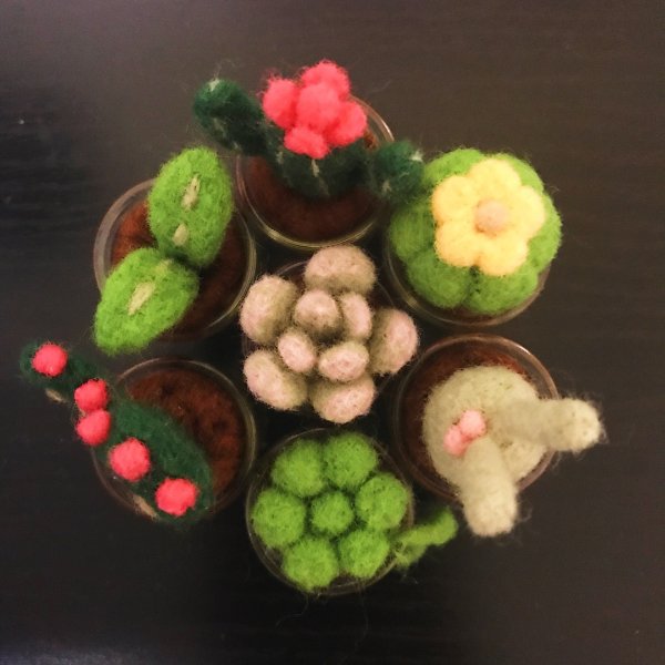 晒货图片