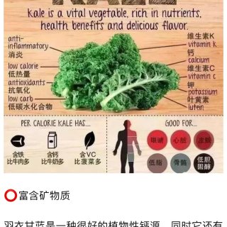 KETO减肥有妙招！Kale+Wheat...