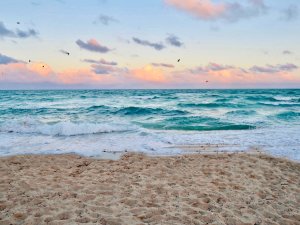 世界上最美海滩之一～Miami South Beach 