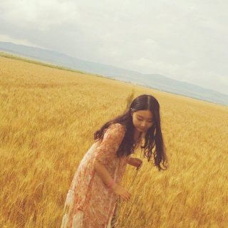 旅行OOTD｜内蒙古草原，稻田，敖包，向...