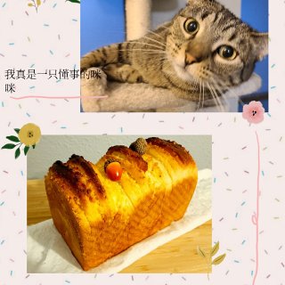 星期日的面包与猫...