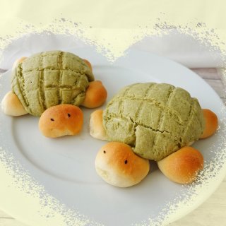 要你永远是我的乌龟🐢菠萝🍍面包🍞...