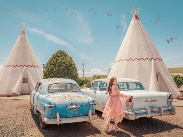 攻略 | 我们是如何跨州带猫搬家的🏘