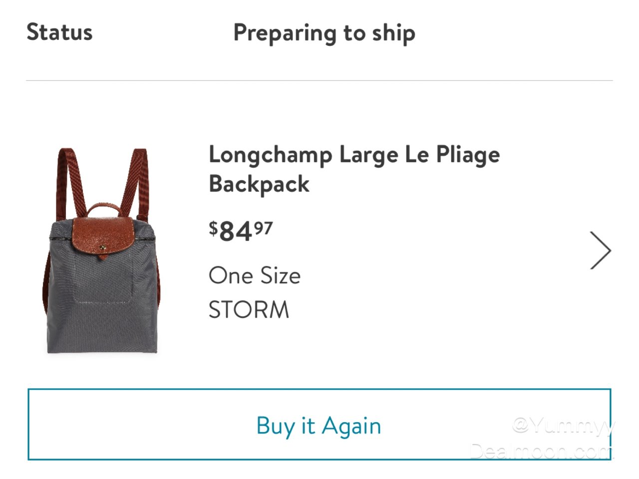 买了个Longchamp大号背包...
