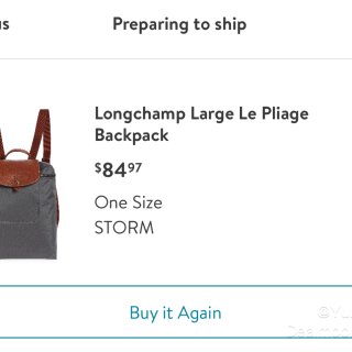 买了个Longchamp大号背包...