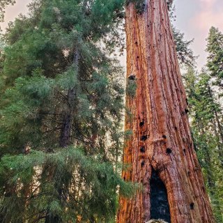 Sequoia国家公园一日游攻略🌲...