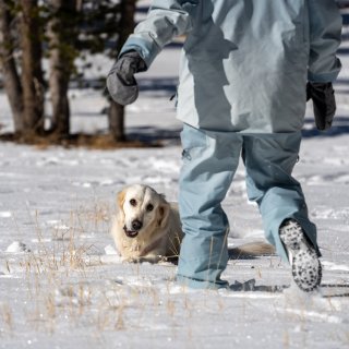 冬天的太浩湖太适合带狗狗来玩儿啦...
