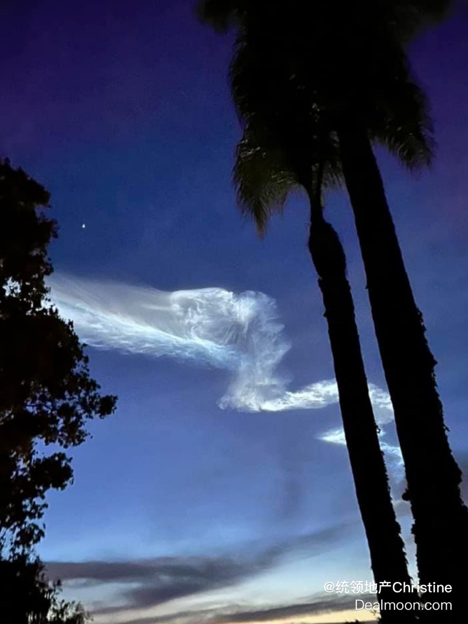 昨天晚上南加州SpaceX升空你看到了吗...