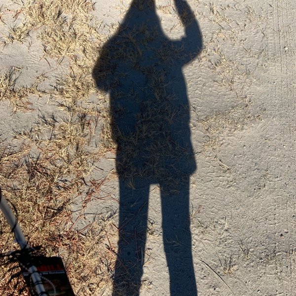 晒货图片