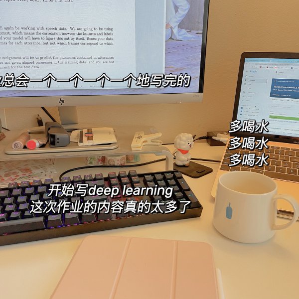 晒货图片