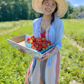 波士顿360の夏日保留节目：摘草莓...