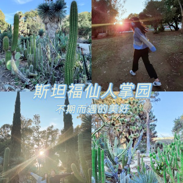 晒货图片