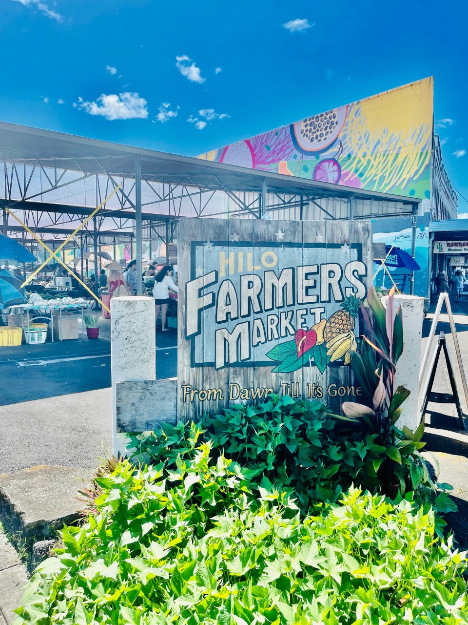 夏威夷大岛🥬周末Hilo的农贸市场🍍...