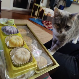 Costco日式和果子...