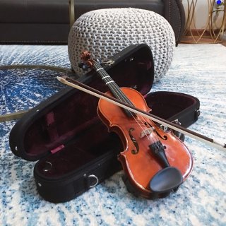 TJ Maxx,小提琴