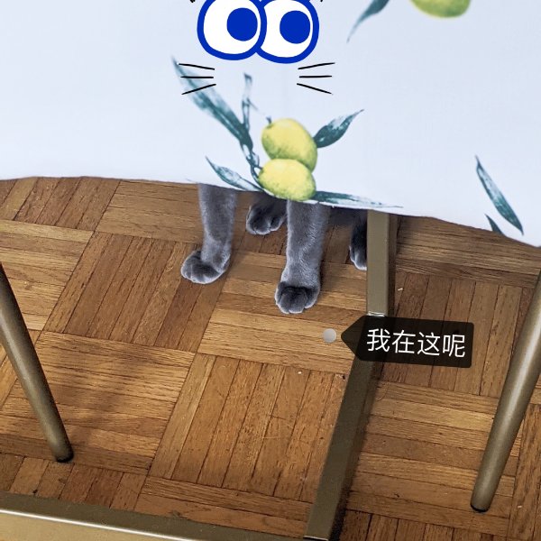 晒货图片