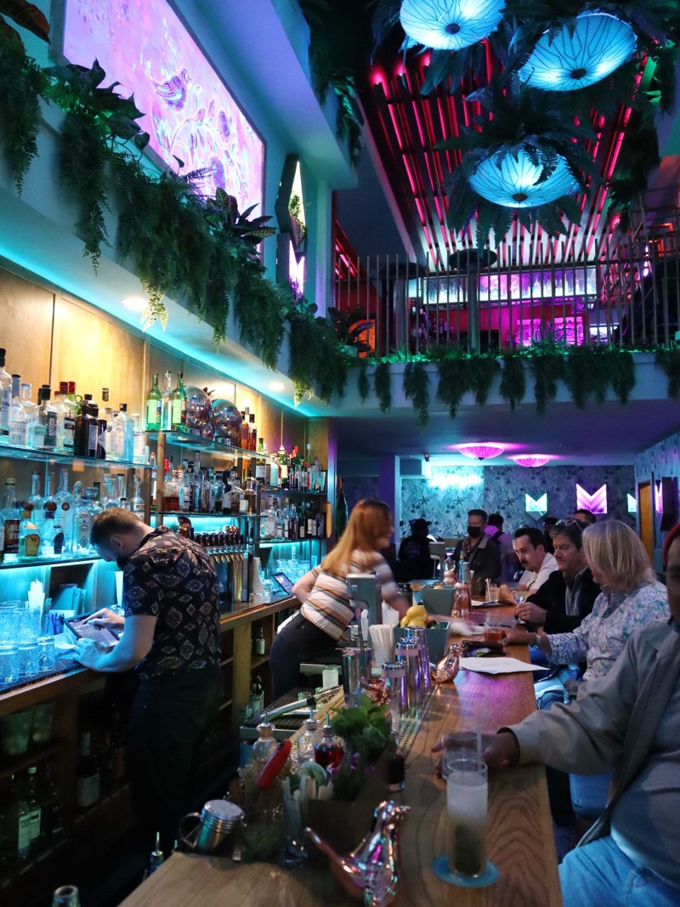 舊金山金融區現代未來感叢林酒吧 Nigh...