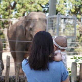 第一次带宝宝去动物园...