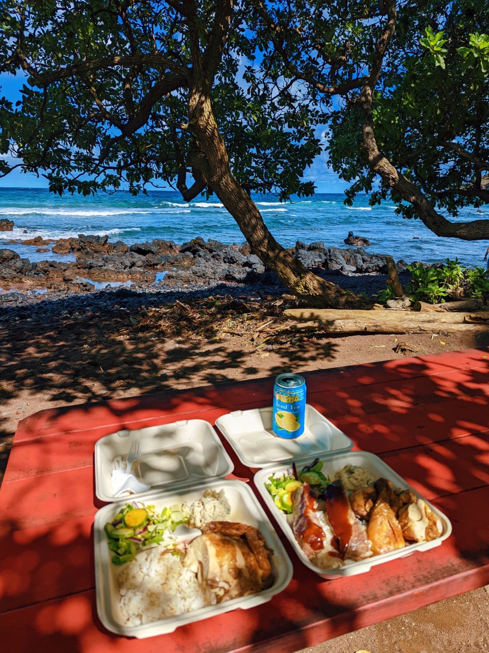 夏威夷美食💫面朝大海 吃烤鸡是什么体验🥹...