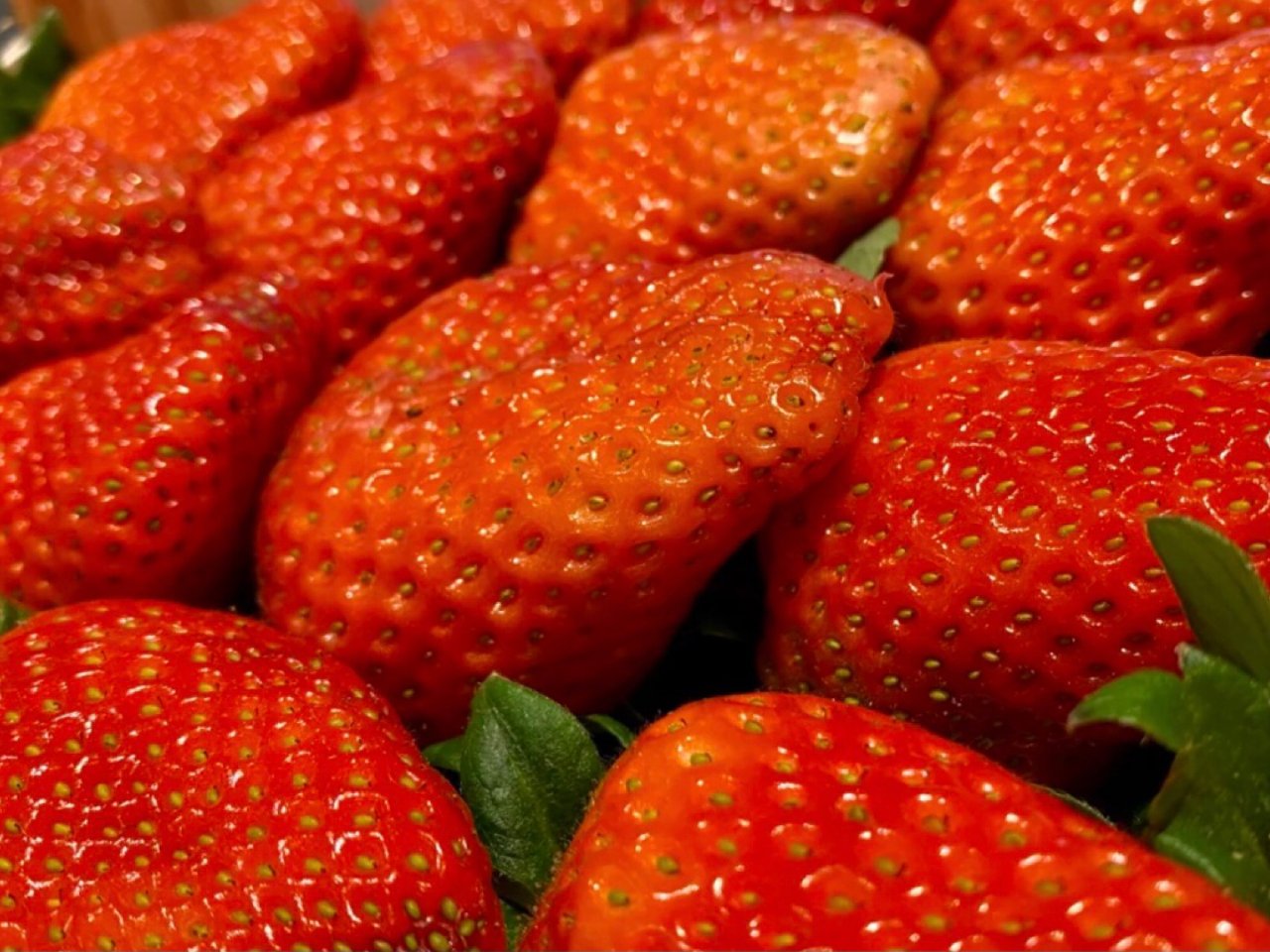 Lidl 草莓