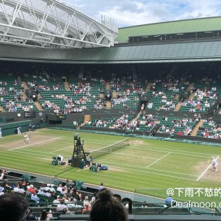 温布顿last day快乐看网球🎾...