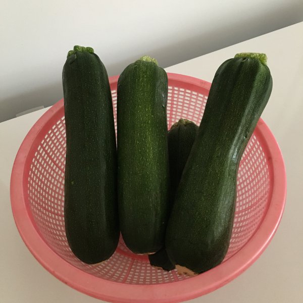 笔记图片