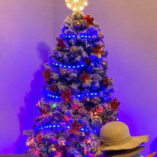 🎄我家的圣诞树：点亮星星才完整‼️平价装...
