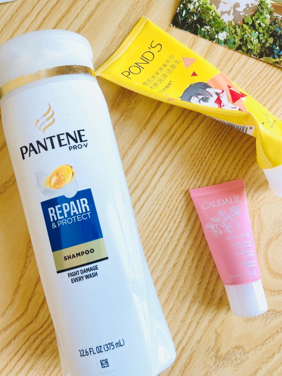 Pantene Pro-v Repair And Protect Shampoo : Target