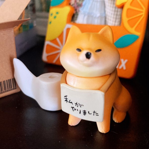 晒货图片