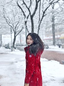 ❄️冬季恋歌❄️ 二零壹玖年的第一场雪