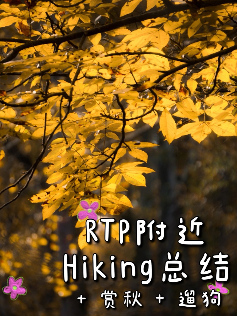 RTP附近周末hiking总结 + 赏秋...
