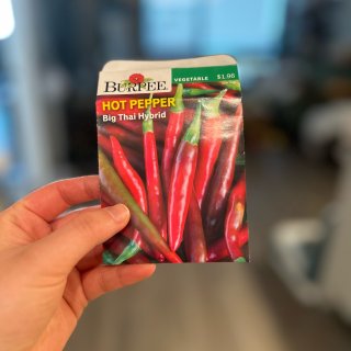 Burpee Big Thai Hybrid Hot Pepper Vegetable Seed, 1-Pack - Walmart.com
