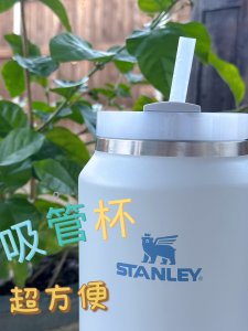Stanley新款超大吸管杯，一整个爱上！