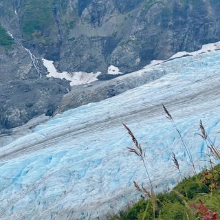 Alaska阿拉斯加 | 9天8夜看冰川...